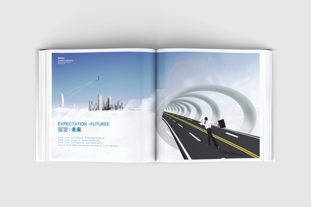 新沂市画册设计